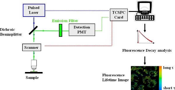 figure-protocol-1445