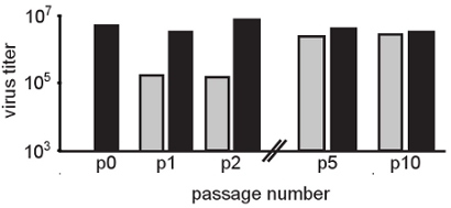 figure-protocol-30776