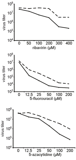 figure-protocol-31782