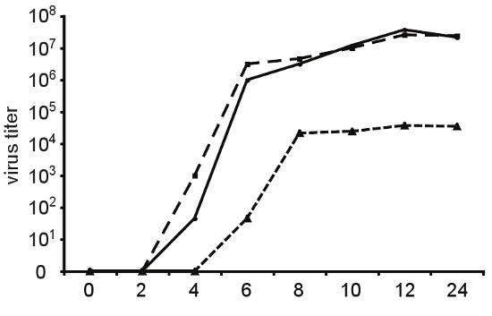 figure-protocol-32728