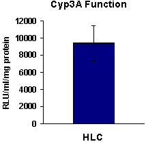 figure-protocol-25652 figure-protocol-25652