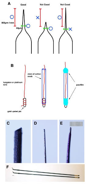 figure-protocol-7237