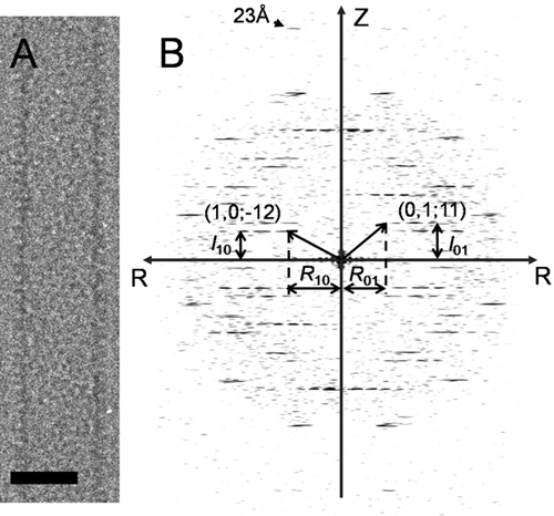figure-protocol-11529