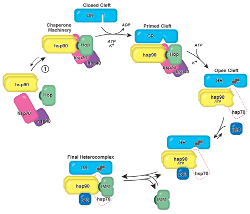 figure-protocol-15182