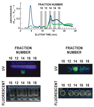 figure-protocol-26795