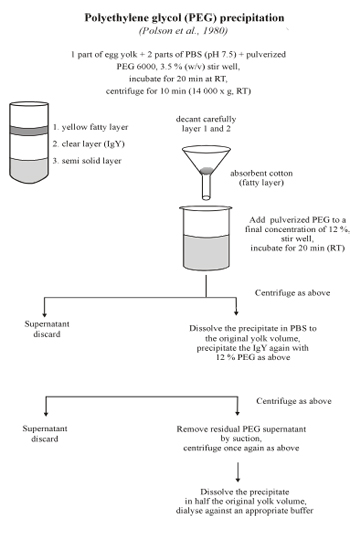 figure-protocol-4588