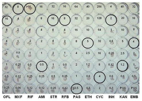 figure-protocol-10116