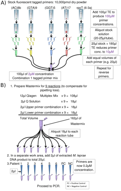 figure-protocol-21415