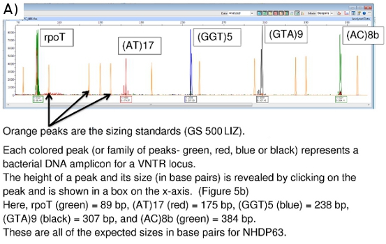 figure-protocol-22193