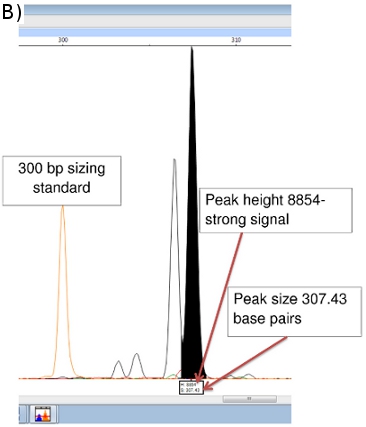 figure-protocol-22265