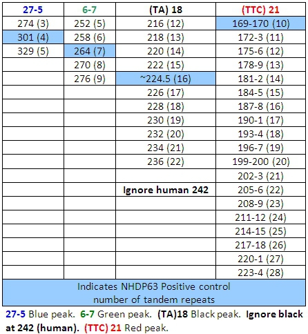 figure-protocol-20947