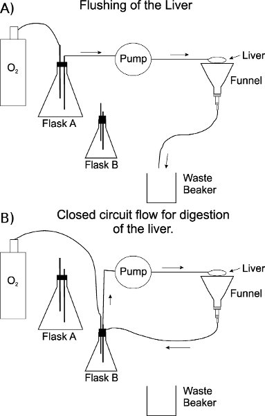 figure-protocol-11167