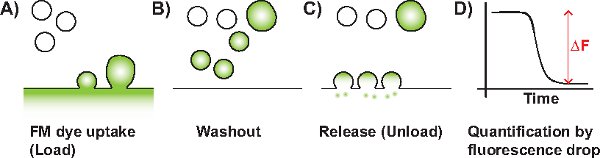 figure-protocol-13629