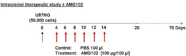 figure-protocol-2577