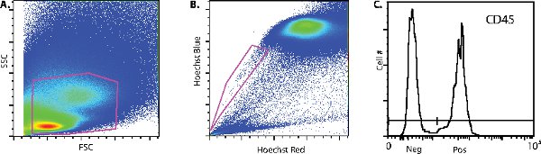 figure-protocol-11993 figure-protocol-11993