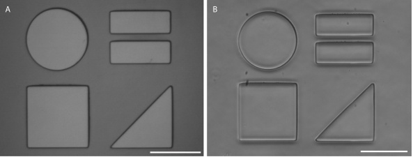 figure-protocol-8103