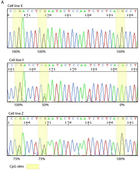 figure-protocol-12204