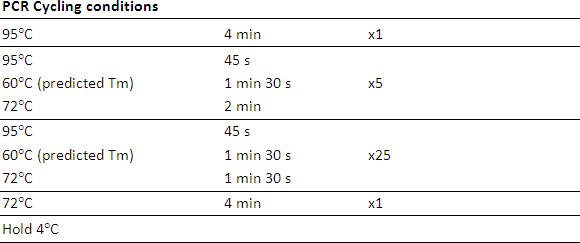 figure-protocol-6342