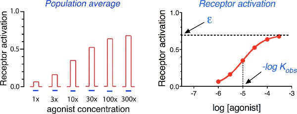 figure-protocol-14636
