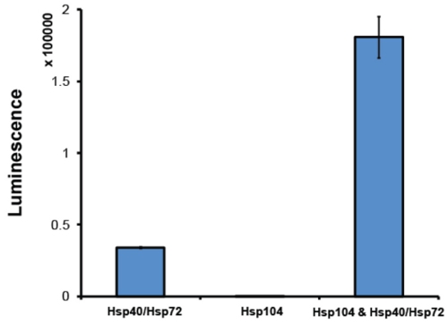figure-protocol-13579