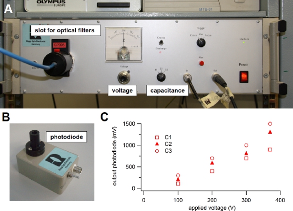 figure-protocol-15886 figure-protocol-15886