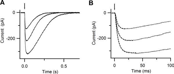 figure-protocol-18340 figure-protocol-18340