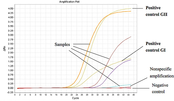 figure-protocol-8432