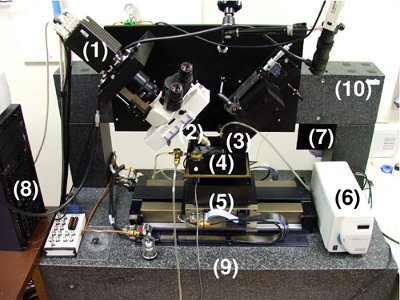 figure-protocol-9132
