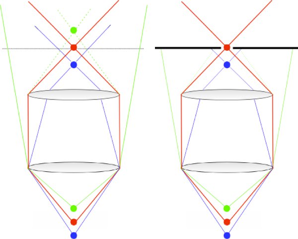 figure-protocol-24256