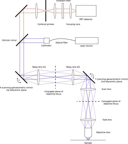 figure-protocol-24777