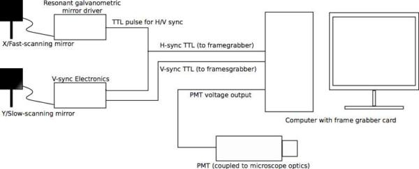 figure-protocol-25880