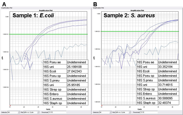 figure-protocol-9932