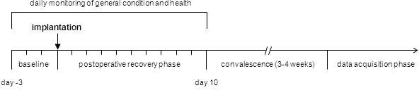 figure-protocol-15554