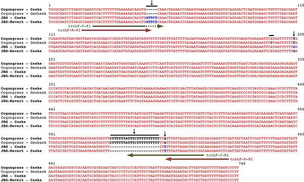 figure-protocol-17347
