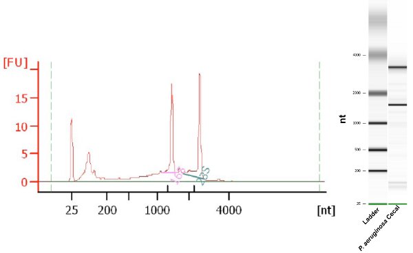 figure-protocol-7592