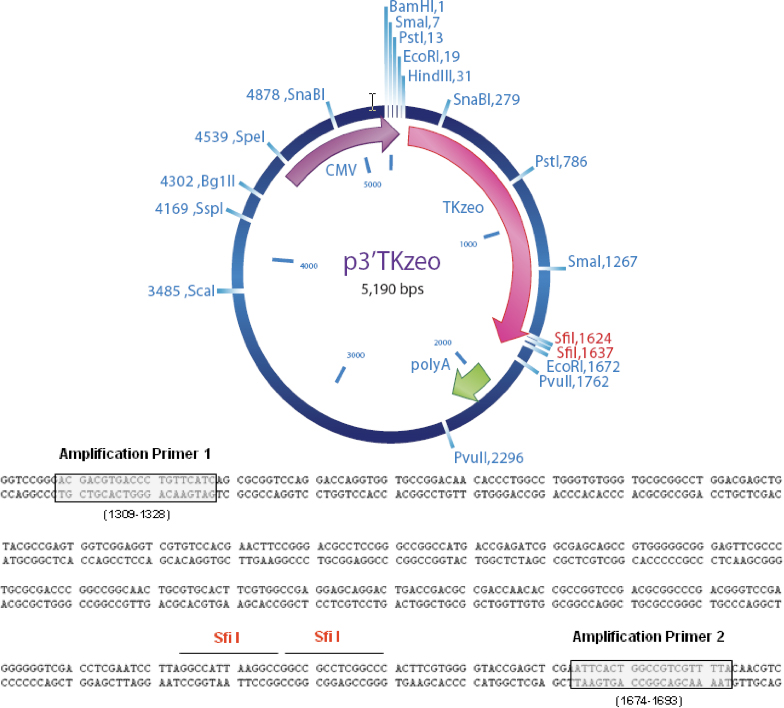 figure-protocol-10730