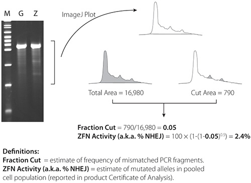 figure-protocol-10677