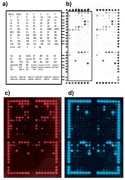 figure-protocol-8645
