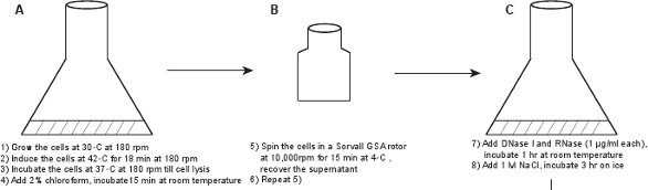 figure-protocol-15651