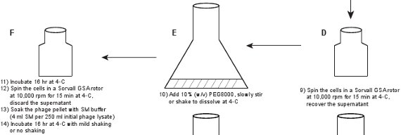 figure-protocol-15732