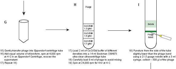 figure-protocol-15813