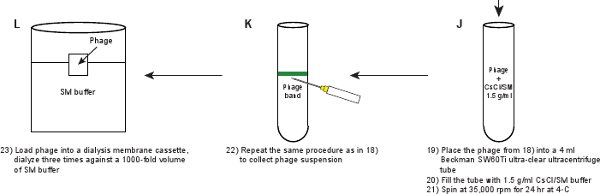 figure-protocol-15894