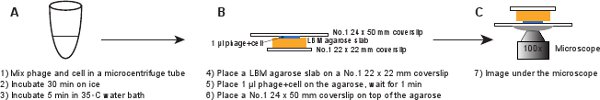 figure-protocol-17670