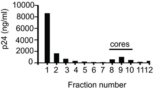 figure-protocol-11635