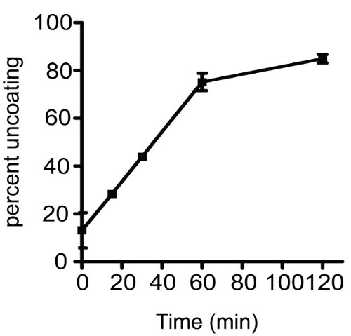 figure-protocol-12062