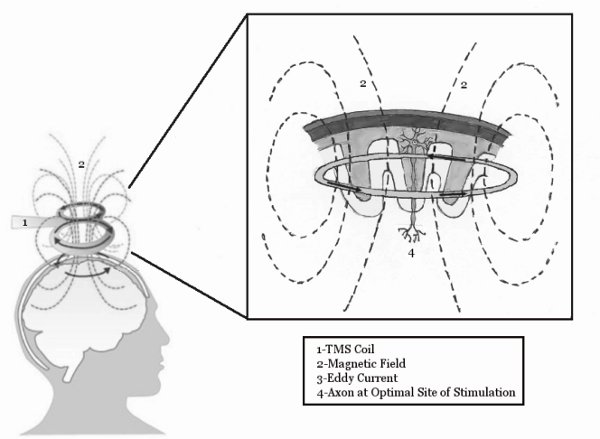 figure-protocol-11437