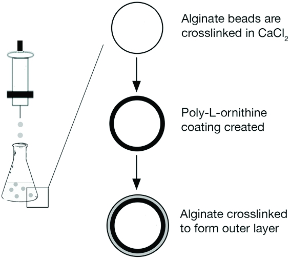 figure-protocol-6055
