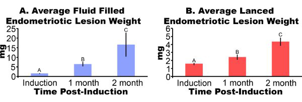 figure-protocol-6595