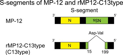 figure-protocol-16404