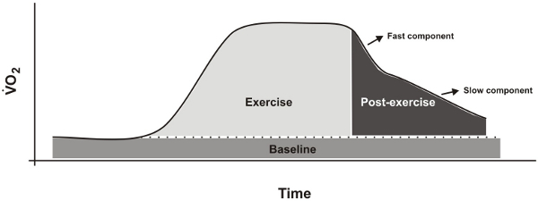 figure-protocol-5993